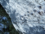 DSCF1060