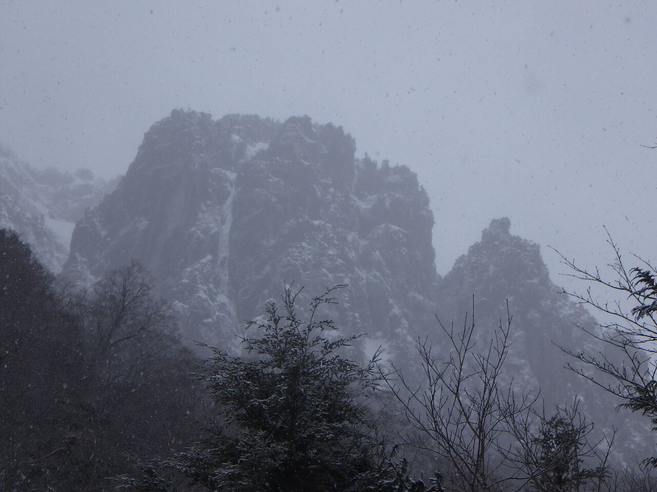 19D74DEA-ED90-4373-9BAB-6F33630977A0