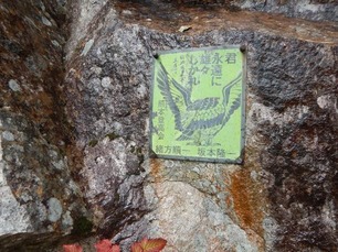 グラフィックス4