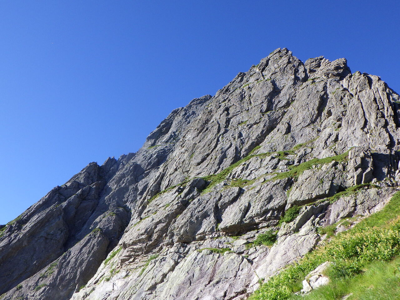 C1A5DE6B-CC25-4378-9939-746A8E85CF96