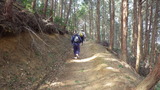 IMGP1229