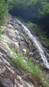 IMGP1343