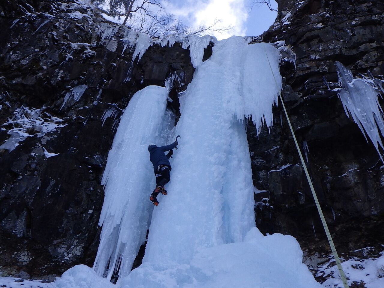 72AA02D4-19C5-4E5E-A93B-40D906FDA19F