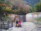 DSCF1371