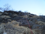 2011_02270079