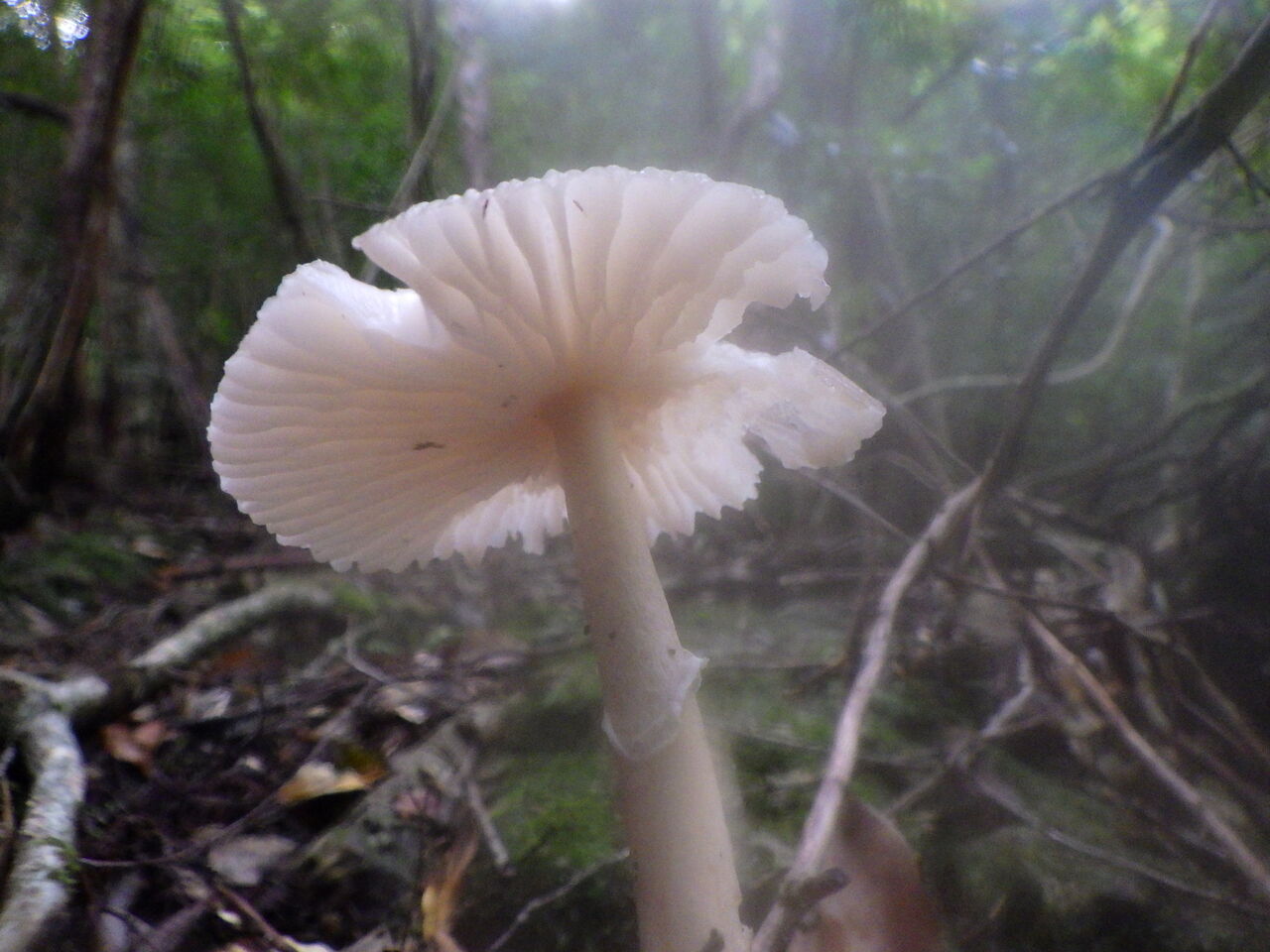 DB1F15DA-1943-47B5-B72A-EB28DC6A889D