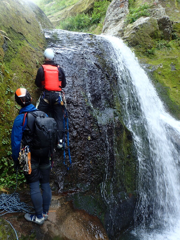 345BFFC9-73F3-471B-A320-59CE26482634