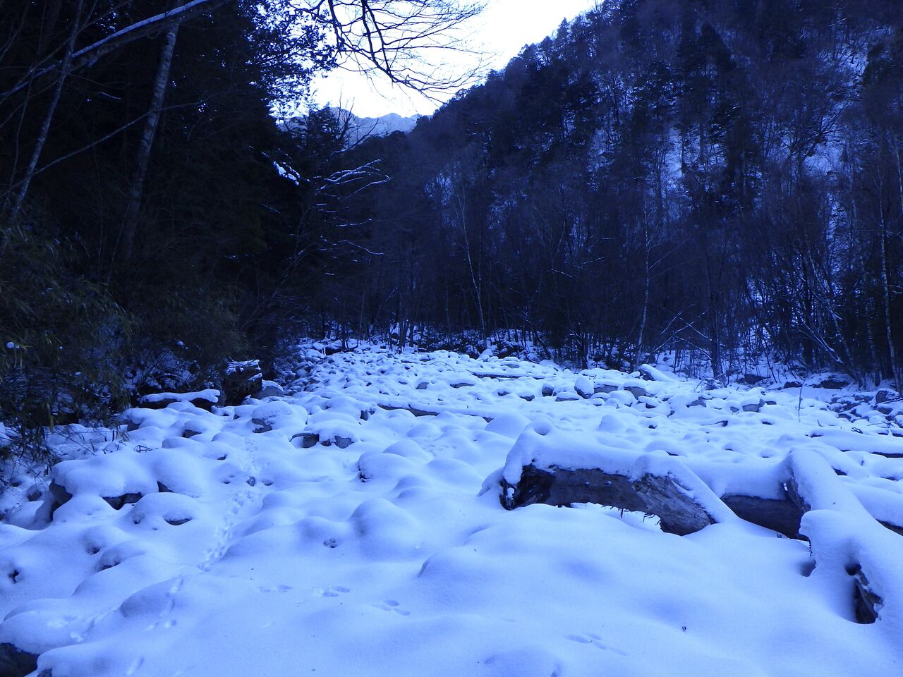 22D7EDDB-8D9A-4889-BFE6-39C5DA89849E