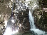 DSCN7204
