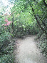 NEC_0071 (2)