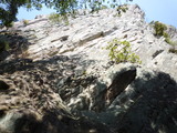 P1050570