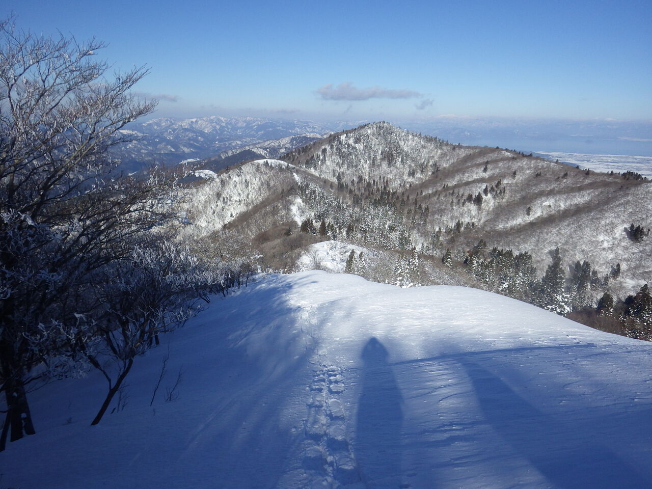 9FD16252-9D00-40CA-8087-0F6C637AFB2C