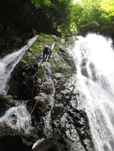 line_107146739451308