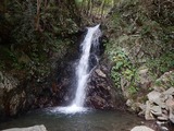 DSCN7209