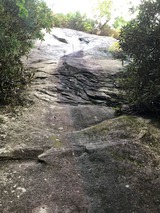 IMG_6064 (1)