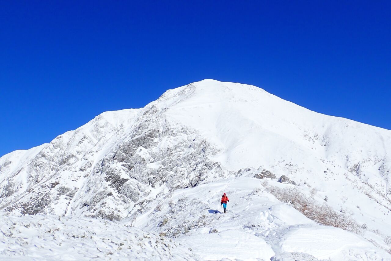 313A48F9-ABED-4002-B263-0C54F03F4453