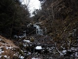 DSCN1003