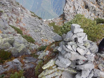 グラフィックス14