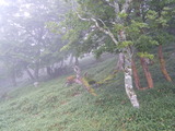 DSCF0704