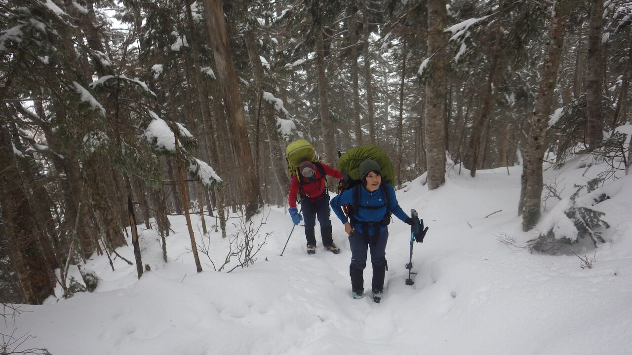 6F105358-71E4-4FCF-8C14-B5A5CBA92165