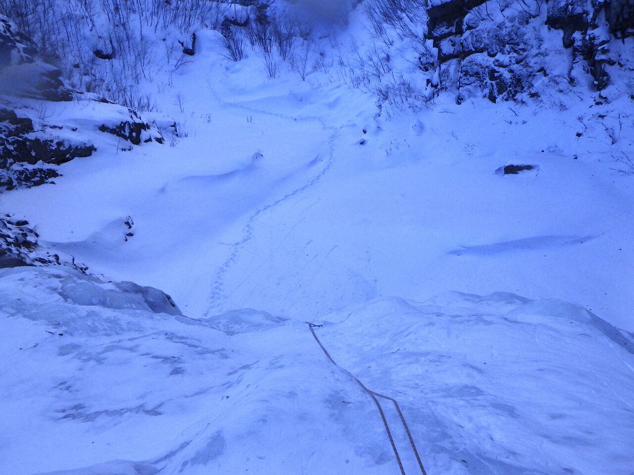 BC63AF36-30B2-42D0-8B65-58FF479A946D