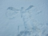 DSCN2992