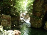 IMG_7003