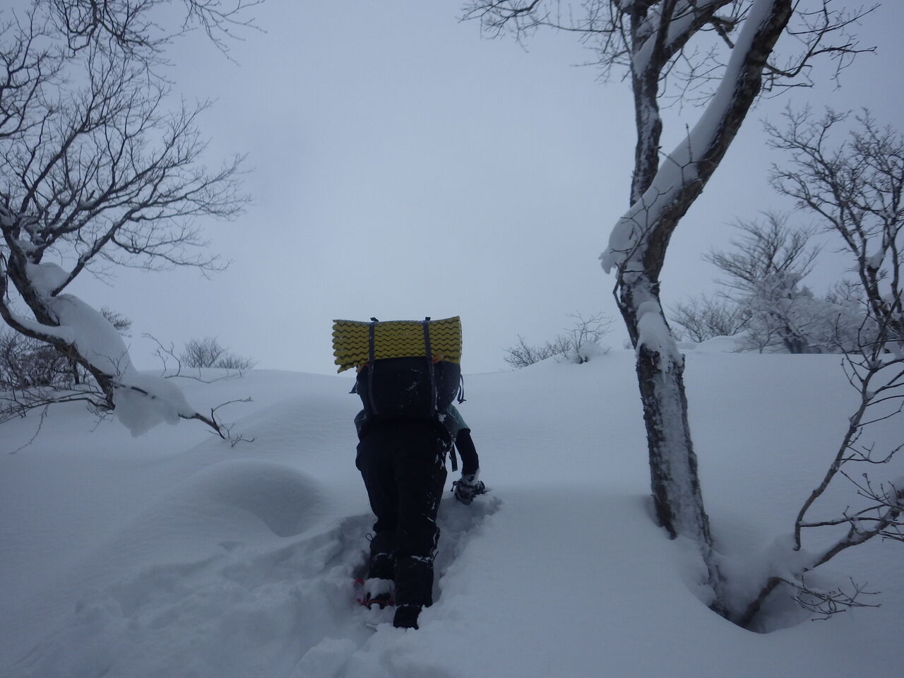 D87FB8BE-7397-4F46-9CCA-19F2A36C55A6