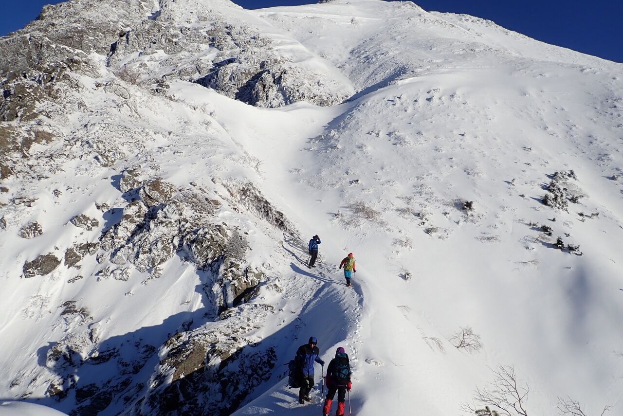 CB87A54C-E771-4137-9853-66D9C582723C