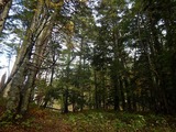 DSCN4971
