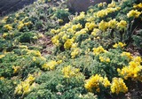 IMG_9795