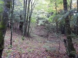 DSCN4961