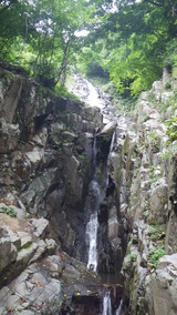 IMGP1341