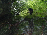 DSCF1321