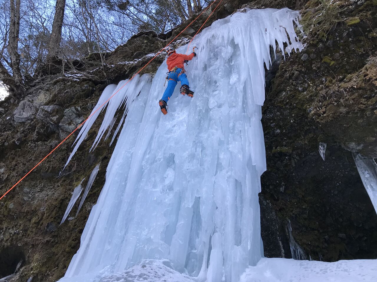 F8B12083-10D5-4563-A09D-91E984F4D34A