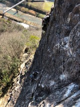 line_180280235163196