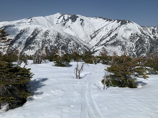 IMG_4186