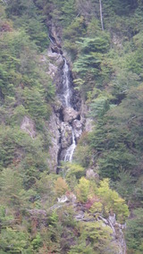 IMGP1495