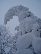 P1150018