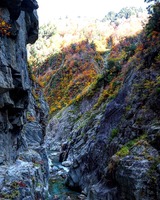 IMG_20191108_120911_238