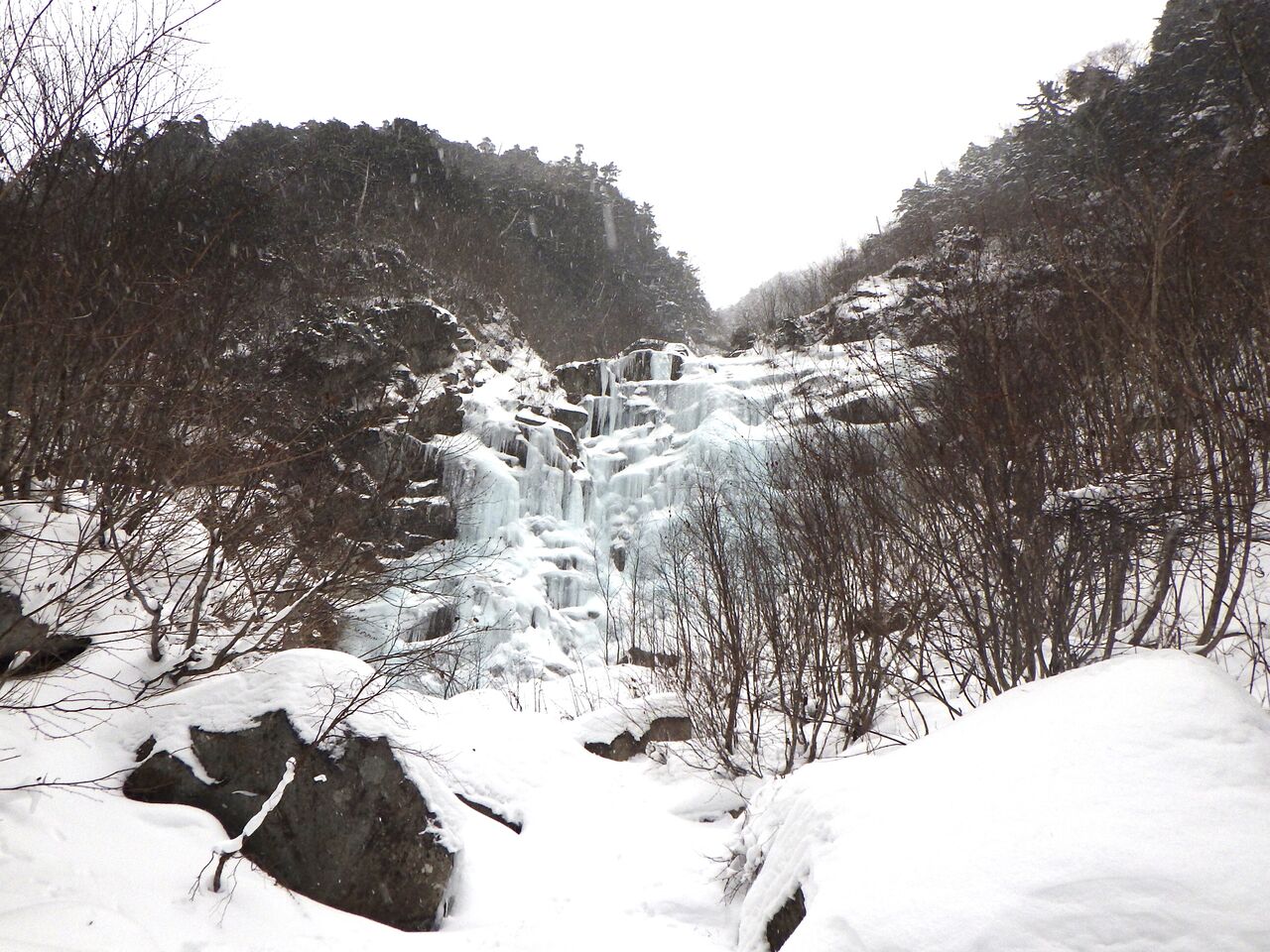 E5EF92BD-0B05-4B40-B4B5-F1CC66404D68