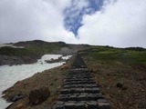 IMG_7388