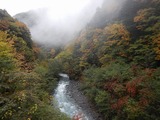 DSCN5185