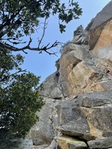 IMG_0892