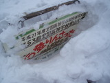 P1150026