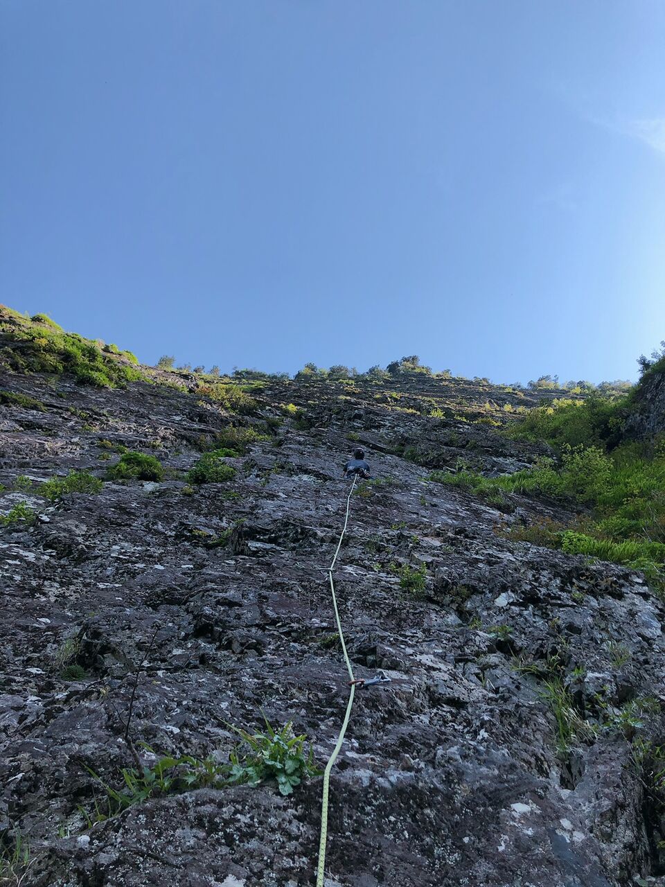 S__27435025