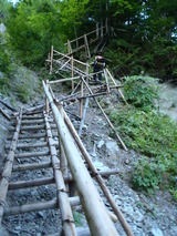 P9091273
