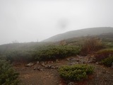 DSCN5105