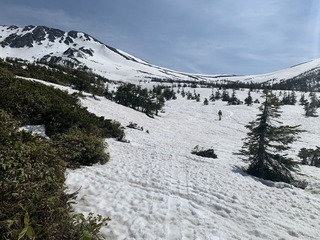 IMG_0786