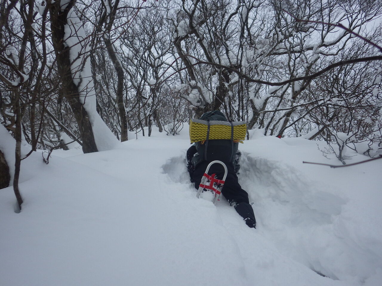 C70541DB-D372-44FC-9239-F2830201205E